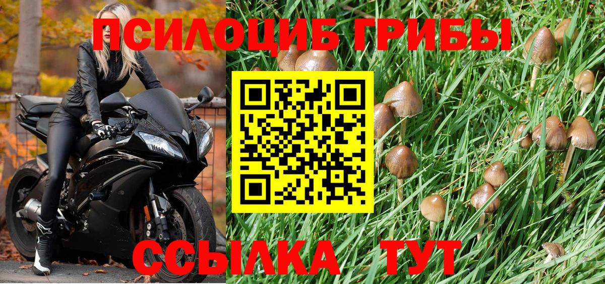 Псилоцибиновые грибы Psilocybine cubensis  Псилоцибиновые грибы мицелий  Вход с VPN  Трёхгорный 