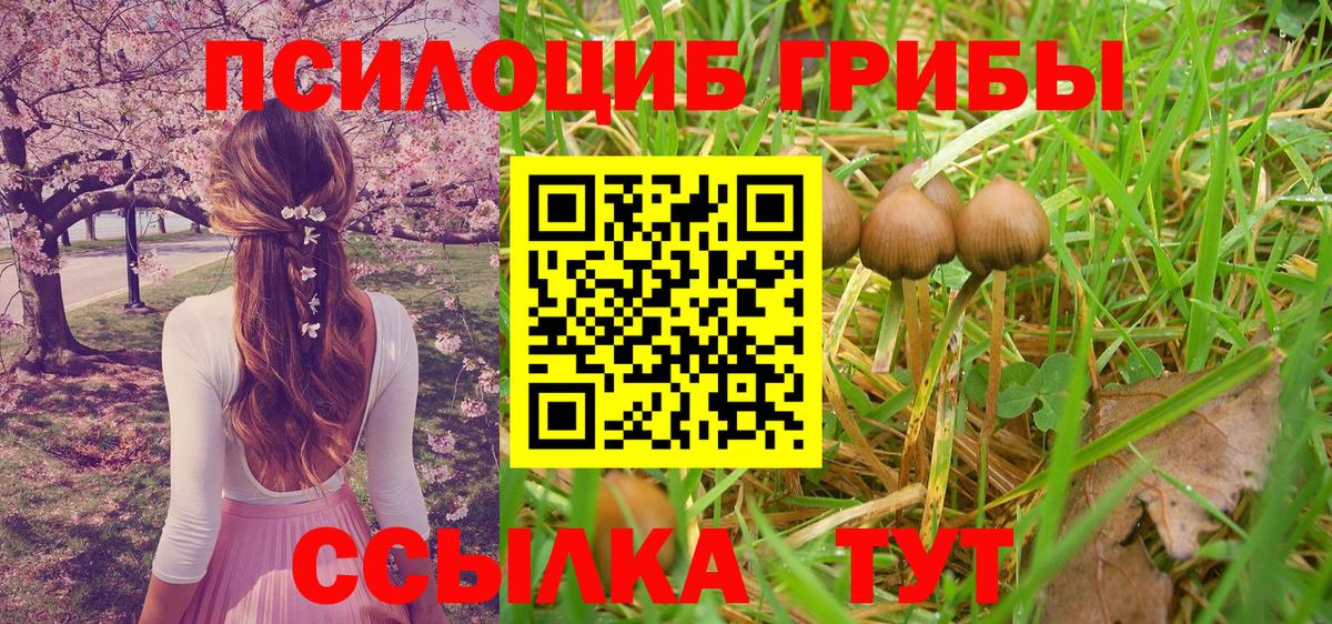 Псилоцибиновые грибы Magic Shrooms Трёхгорный